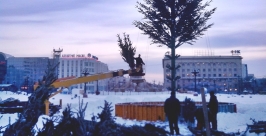 Новогодняя елка в патриотическом стиле появится в Хабаровске елена Проколова