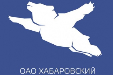 Продажу сувениров с &quotлетающим мишкой&quot начали в Хабаровске социальные сети